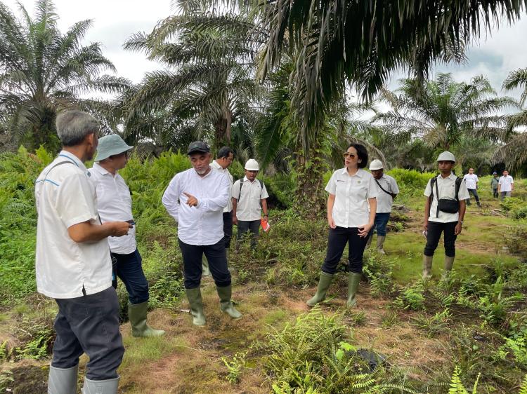 Direksi Palm Co Pastikan Target Produksi PTPN Regional 4 Tercapai