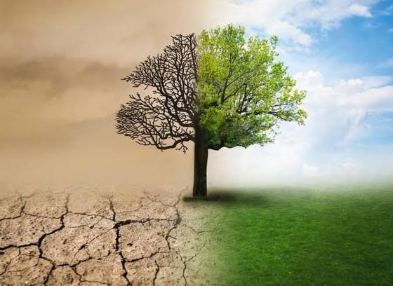 Isu Lingkungan Ramai di Media Sosial, Gen Z dan Gen Alpha Perlu Kritis Tapi Berimbang