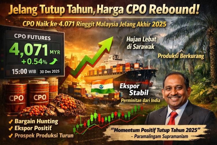 Jelang Tutup Tahun 2025, Harga CPO Rebound!