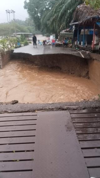 Petani Sawit di Aceh Tenggara Gundah, Hasil Kebun Sulit Dapat Angkutan