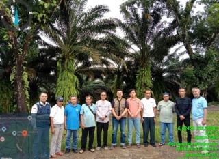 Dua Tahun Diajukan, Kebun Petani di Banten Mulai Diverifikasi Untuk Diremajakan