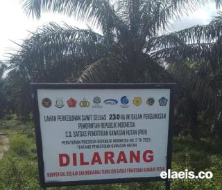 Menata Ulang Arah Kerja Satgas PKH