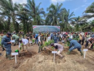633 Hektar Kebun Sawit di TNTN Ditumbang