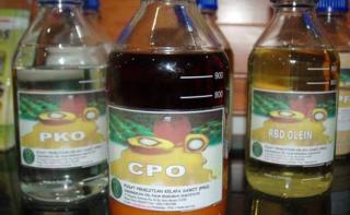 Harga Minyak Sawit Januari 2026 Diprediksi Mandek, CPO Nyaris Stagnan di Bawah RM4.000!