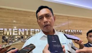 Perum Bulog dan ID Food Tembus Jalur Eceran, Pastikan Minyakita Terjangkau Sampai Rumah Tangga