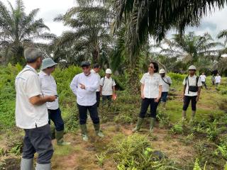 Direksi Palm Co Pastikan Target Produksi PTPN Regional 4 Tercapai