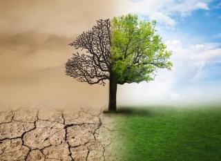 Isu Lingkungan Ramai di Media Sosial, Gen Z dan Gen Alpha Perlu Kritis Tapi Berimbang