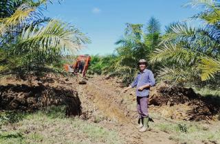 Sawit Jadi Tulang Punggung Ekonomi Keluarga di Aceh Barat