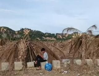 Bukan Puluhan, Ratusan Hektar Kebun Sawit di Aceh Tamiang Ludes Diterjang Lumpur dan Kayu Gelondongan