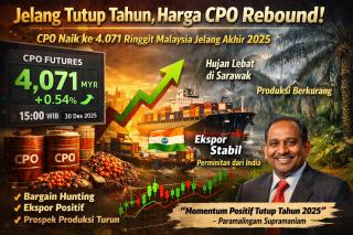 Jelang Tutup Tahun 2025, Harga CPO Rebound!