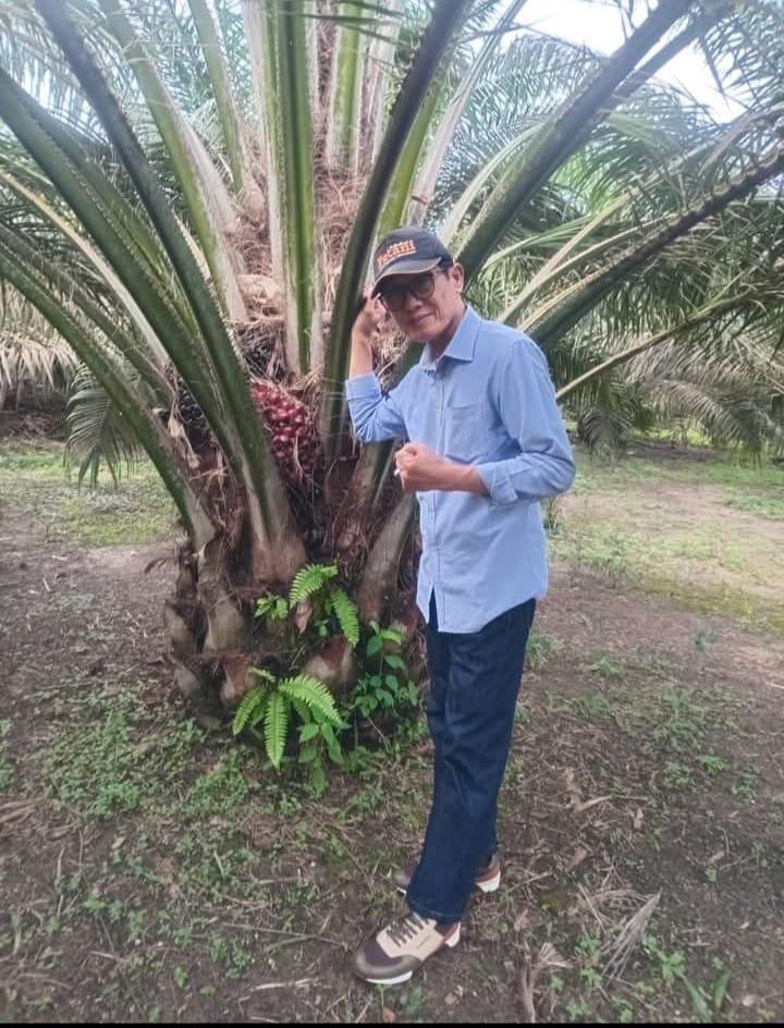 Larangan Tanam Sawit di Jabar Menjadi Tanda Tanya