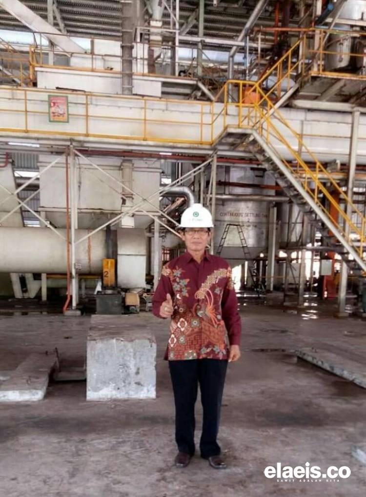 Apkasindo Perjuangan Dukung Pengambangan Kakao di Lahan Eks Kebun Sawit Ilegal