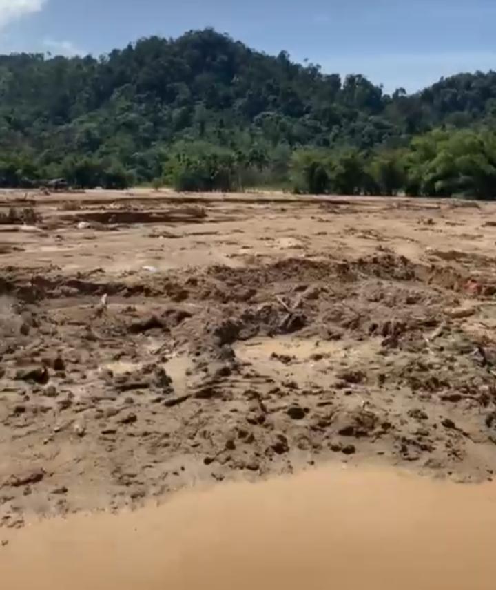 Karpet Merah Perundang-undang, Riau Jadi Penyumbang Deforestasi Terbesar Dua Dekade Terakhir