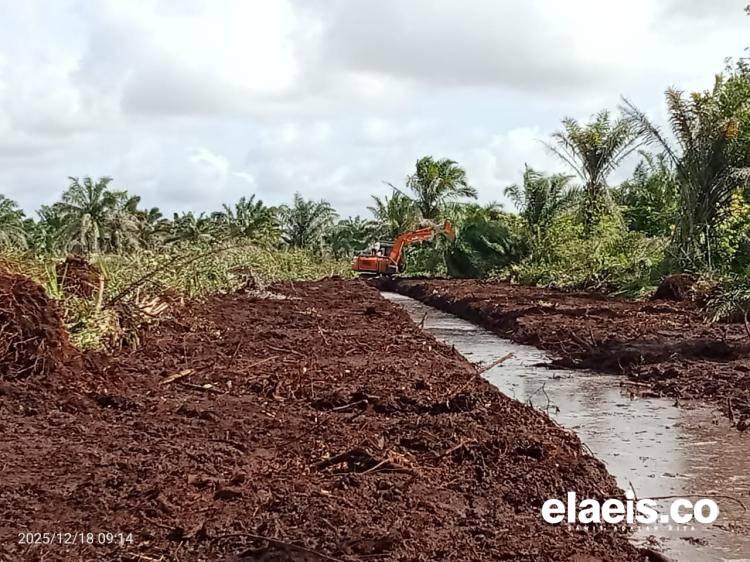 Capaian PSR Nasional Jauh Dari Target, Hanya 33 Persen