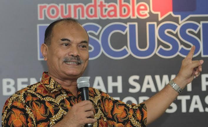 Kajian IPB: Hanya 3 Persen Perkebunan Sawit Berasal dari Hutan Primer