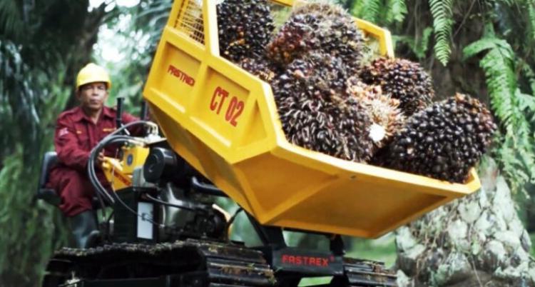 Mesin Fastrex IPB Bantu Panen Sawit, Angkut 15 Ton TBS Sehari