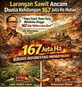 Dunia Terancam Kehilangan 167 Juta Haktar Hutan Jika Melarang Pertumbuhan Sawit, Kok Bisa? 