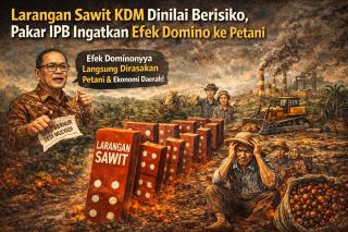 KDM Larang Sawit Tumbuh di Jabar, Pakar IPB Ingatkan Efek Domino ke Petani