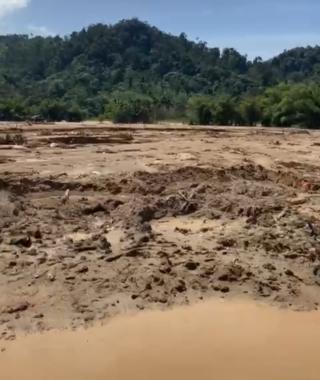 Karpet Merah Perundang-undang, Riau Jadi Penyumbang Deforestasi Terbesar Dua Dekade Terakhir
