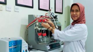 UB Pecahkan Masalah Limbah Sawit Jadi Bioetanol Generasi Kedua