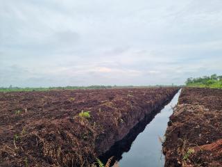 PSR Kebun Poktan Tegal Sari di Bengkalis Sudah Berjalan 75%