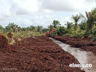 Capaian PSR Nasional Jauh Dari Target, Hanya 33 Persen