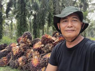 Pasca PSR, Petani Butuh Dukungan Sarpras Terutama Pupuk
