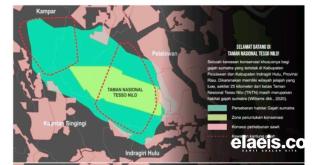 Cabut Izin PBPH, Prabowo Mesti Selamatkan Habitat Gajah Berbasis Lanskap Tesso Nilo