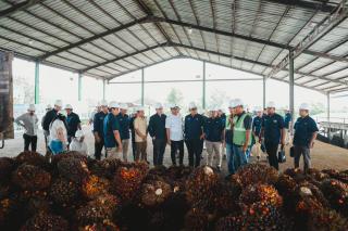 Danantara: Transformasi PalmCo Perkuat Kemandirian Pangan dan Energi Nasional