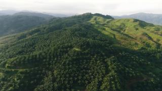Jejak 1 Abad Kebun Batangtoru dan Sejarah Warga Tapanuli Selatan