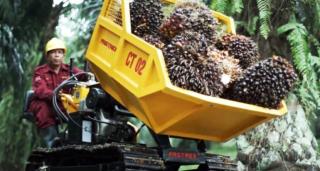 Mesin Fastrex IPB Bantu Panen Sawit, Angkut 15 Ton TBS Sehari