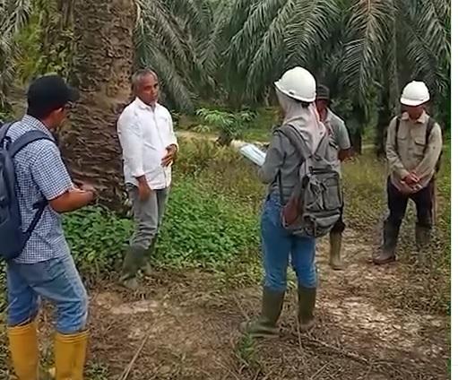 Pastikan Operasional Berjalan Sesuai Standar, Region Head PTPN IV Regional 4 Tinjau Kebun Bukit Kausar