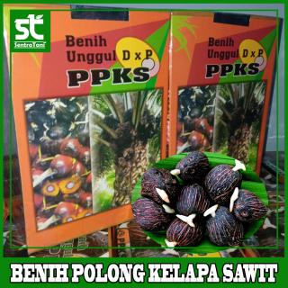 MPPI Ingatkan Benih Murah Online Bisa Bikin Petani Sawit Rugi Jutaan Rupiah