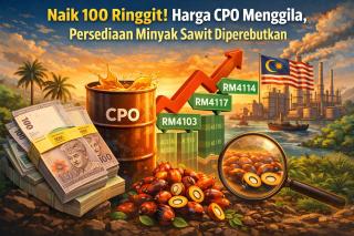 Naik 100 Ringgit! Harga CPO Menggila, Persediaan Minyak Sawit Diperebutkan
