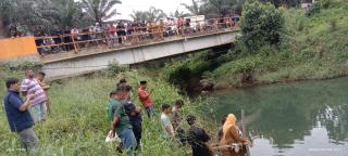 Apkasindo Minta Pemerintah Tindak Tegas PT SKA Timpeh 4 di Sijunjung