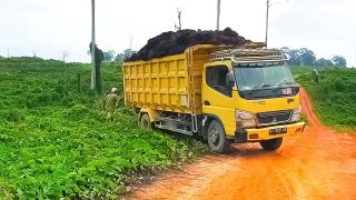 Truk Sawit Lewat Jalan Umum di Kaltim Kini Wajib Izin Gubernur, Ini Aturan Barunya!