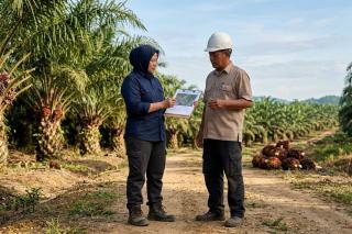 Paket Sapta Usaha Buka Jalan Cepat PSR dan Sertifikasi ISPO