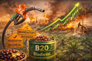 Mandat Biodiesel Jadi Bahan Bakar Reli Sawit 2026