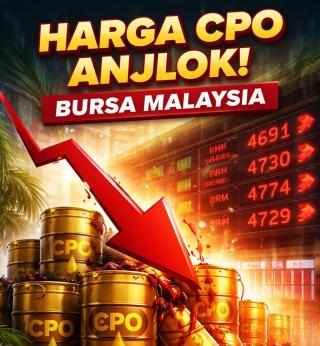 Harga CPO Ambruk Lagi! Bursa Malaysia Berdarah, Pasar Sawit Masuk Zona Merah
