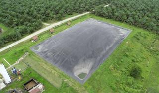 Dua PLTBg Ini Jadi Andalan PTPN IV PalmCo Tekan Biaya Energi di Tengah Gejolak Global