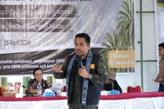 SPKS Desak Pemerintah Naikkan Dana Bagi Hasil Sawit untuk Daerah Penghasil