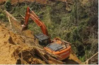 Digugat ke Pengadilan, Korporasi ini Diminta Tumbangkan Sawitnya