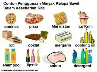 Hilirisasi Sawit Harus Jadi Prioritas Pemda