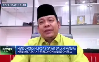 Pengen Komoditas Sawit Makin Cakep, Tata Niaganya Dibenerin!