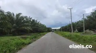 Disuntik BPDPKS Rp4,7 Miliar, Jalan Koperasi Tinera Jaya Siak Bakal Mulus