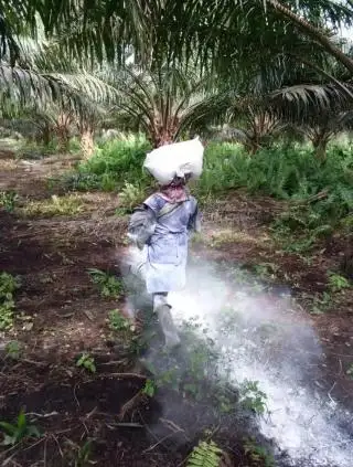 Petani Sawit Harus Waspadai Tawaran Pupuk Murah
