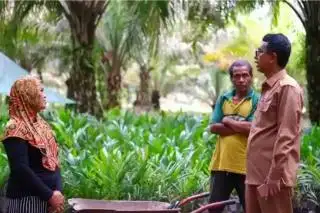 Disbunnak Kalbar Komit Terus Kawal Sawit Berkelanjutan