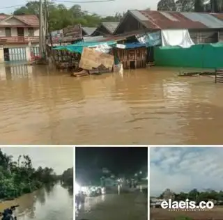 Banjir di Pengadan Kutim Mengerikan, Hewan Buas Berkeliaran