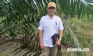 Petani Dukung Pemkab Bangka Barat Bentuk Timsus Kelapa Sawit