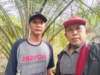 Soal Kampanye Deforestasi UE, Ini Pandangan Apkasindo Paser